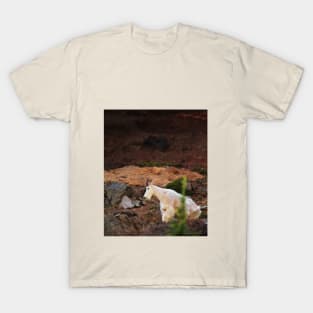 Majestic Mountain Goat T-Shirt